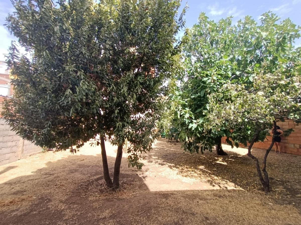Vivienda Rural Los Iberos M&M, Castellar de Santisteban Kültér fotó